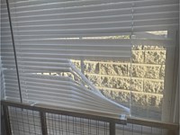Wall of Shame