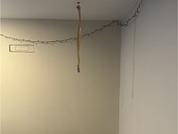 Wall of Shame